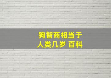 狗智商相当于人类几岁 百科